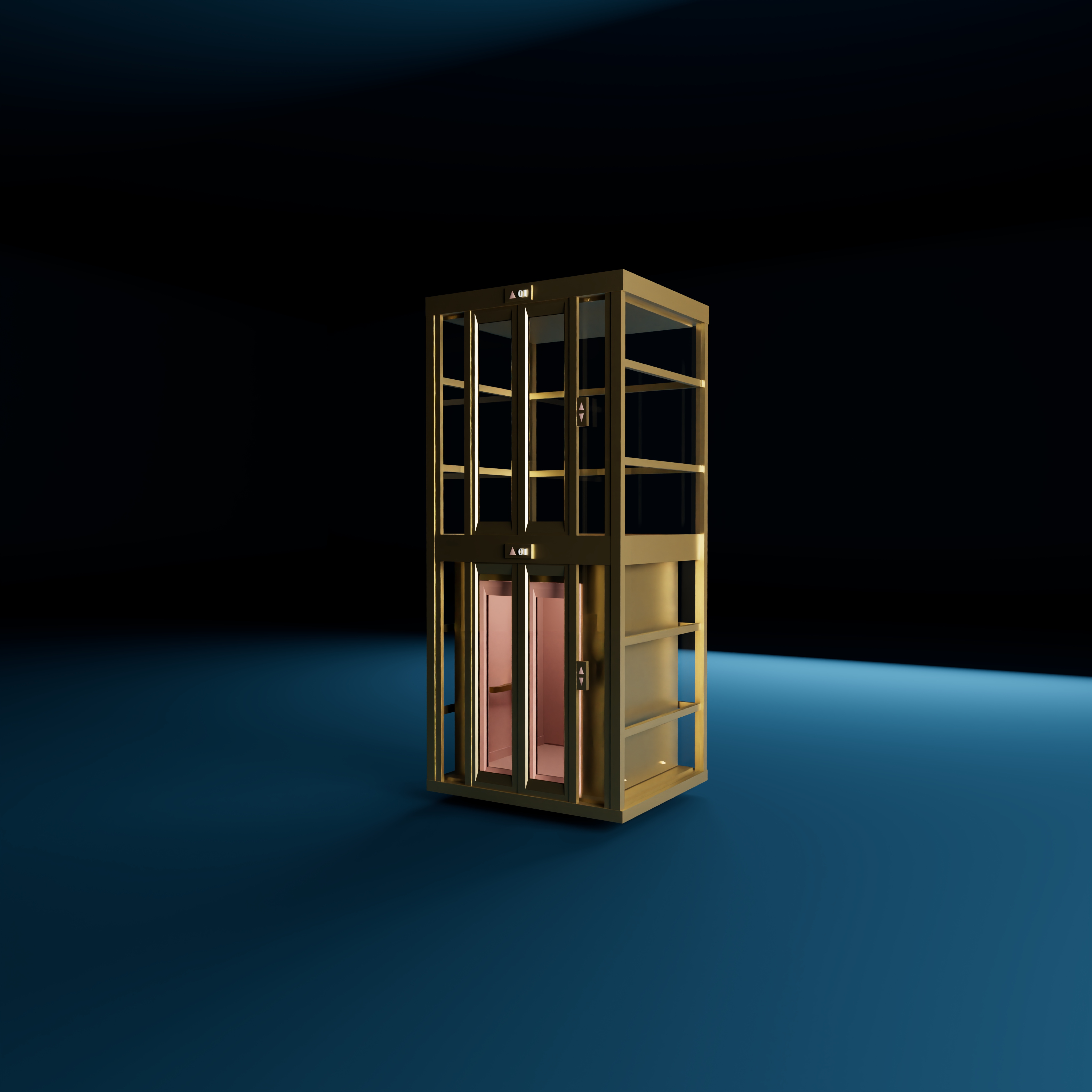 Luxury Home Elevators